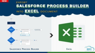 Export Process Builders in XLS