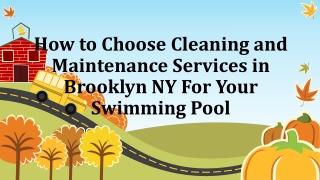 How to Choose Maintenance & Cleaning Services in Brooklyn NY For Your Swimming Pool