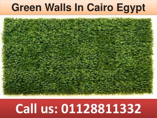 Green Walls in Cairo Egypt