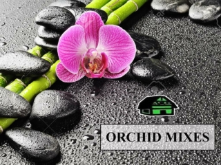 Best orchid mixes provided by Green Barn Orchid Supplies