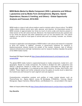 MEM Media Market - Global Opportunity Analysis and Forecast, 2018-2025