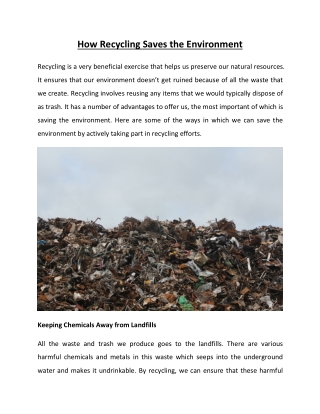 How Recycling Saves the Environment