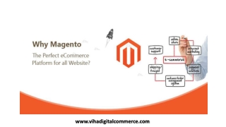 Magento Emerging as The Perfect eCommerce Platform for all Companies