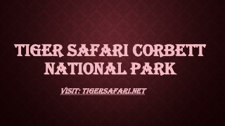 Tiger safari Corbett national park