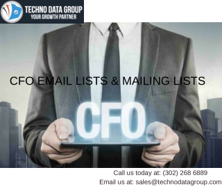 CFO Email Lists & Mailing Lists | Chief Executive Officer Email List in USA