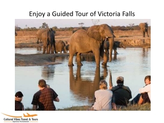 Enjoy a Guided Tour of Victoria Falls