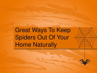 Tips to Get Rid of Spiders in Your House?