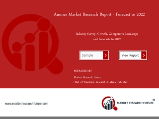 Amines Market 2019 Leading Growth Drivers, Emerging Audience, Global Segments, Sales, Profits & Regional Study 2022