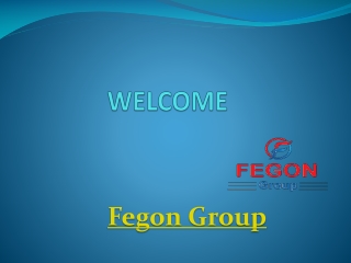 Fegon Group - Internet Security