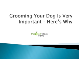 Grooming Your Dog Is Very Important – Here’s Why