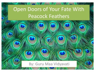 Open Doors of Your Fate With Peacock Feathers