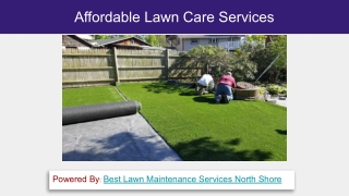 Affordable Lawn Care Services