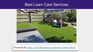 Best Lawn Care Services