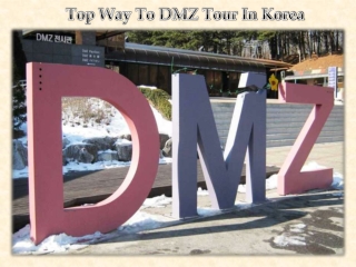 Top Way To DMZ Tour In Korea