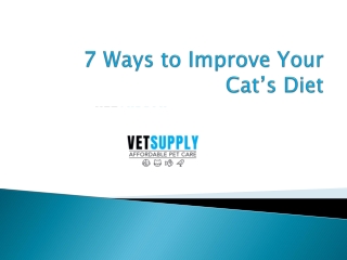 7 Ways to Improve Your Cat’s Diet
