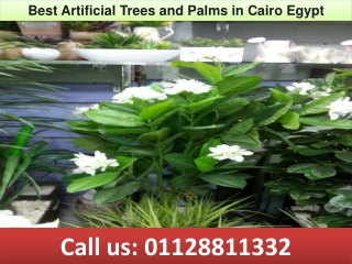 Best Artificial Trees and Palms in Cairo Egypt