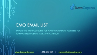 Which company in US provides the best CMO Contact lists?