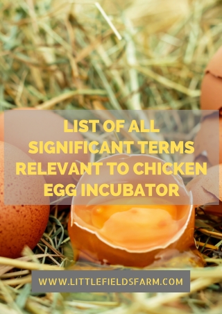 List of All Significant Terms Relevant to Chicken Egg Incubator
