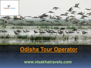 Odisha Tour Operator | Best Tour Operator