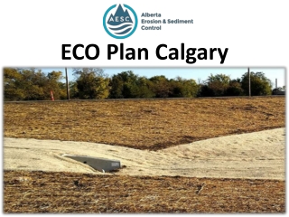 ECO Plan Calgary
