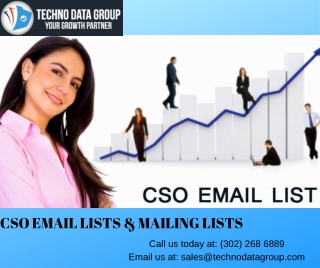 CSO Email Lists & Mailing Lists | Chief Security Officer Email Lists in USA