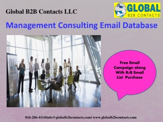 Management Consulting Email Database