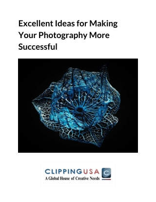 Excellent Ideas for Making  Your Photography More  Successful