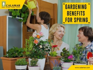 Gardening Benefits For Spring