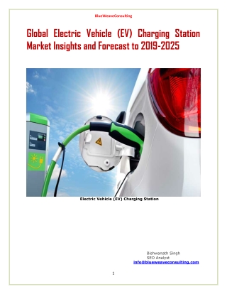 Global Electric Vehicle (EV) Charging Station Market Insights and Forecast to 2019-2025