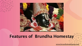 Features of Brundha Homestay