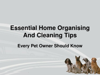 Essential Home Organising and Cleaning Tips Every Pet Owner Should Know