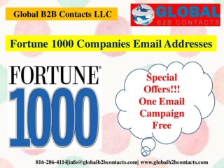 Fortune 1000 Companies Email List