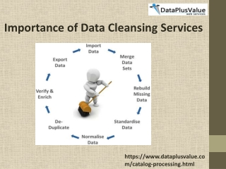 Advantages Of Data Cleansing Services