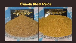Get Amazing Varieties of Canola Meal for Protein