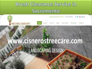 Brush Clearance Service in Sacramento