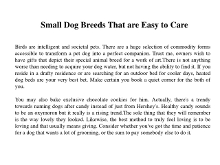 Small Dog Breeds That are Easy to Care