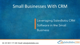 Leveraging SalesBabu CRM Software in the Small Business