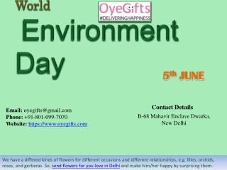 Let's Plant Trees: World Environment Day 2019