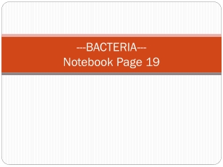 ---BACTERIA--- Notebook Page 19