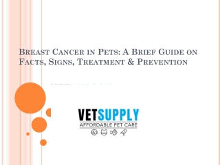 Breast Cancer in Pets: A Brief Guide on Facts, Signs, Treatment & Prevention