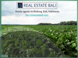 Land for Sale in Ubud