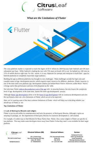 What are the Limitations of Flutter