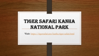 Tiger safari kanha national park