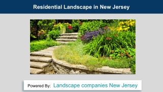 Residential Landscape in New Jersey