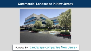 Commercial Landscape in New Jersey