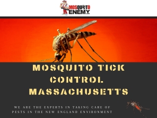 Mosquito Control Service MA