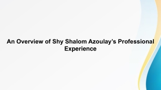 An Overview of Shy Shalom Azoulay’s Professional Experience