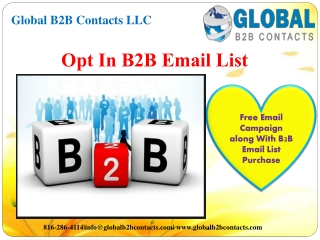 Opt In B2B Email List