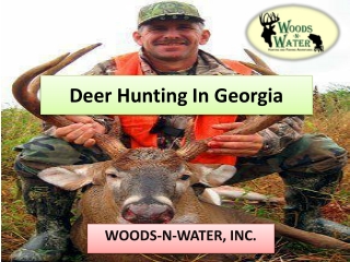 Deer Hunting In Georgia
