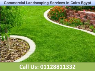 Commercial Landscaping Services in Cairo Egypt